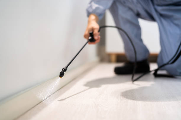 Professional exterminator conducting IPM assessment in Austin
